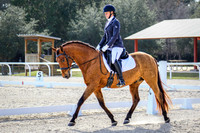 895 Kiersten