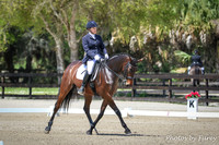 Fox Lea Dressage