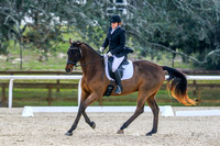 625 Robin