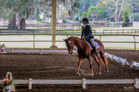 2017-1-21 Winter Kick Off Dressage Afternoon