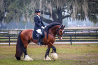 2017-1-21 Winter Kick Off Dressage Morning