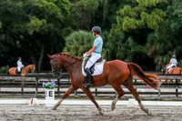 493 Adrienne