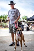 2015-6-14 Pet Fashion Show
