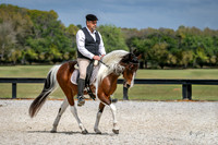 Working Equitation