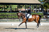 Dagge Dressage at Fox Lea March 2017