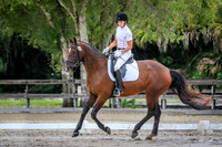 484 Marti