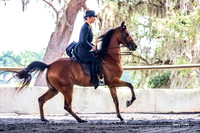 2019-4-7 Peri Lee Showhorses Open House