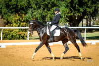 617 Sheri
