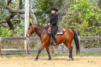 207 Abby