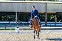 139 all photos posted