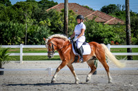 Jump the Moon Dressage