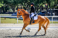 194 Amber