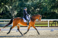 627 Anne