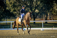 2017-1-29 Orlando Dressage