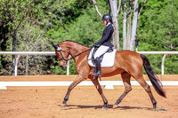 778 Bailey