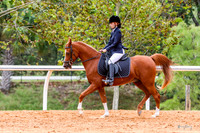 Hunters Under Saddle