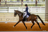 2017-1-14 Dressage Under the Oaks Sat Afternoon