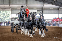 2022-2-4 Grandview Invitational Draft Horse Show