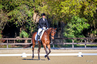 176 all photos posted