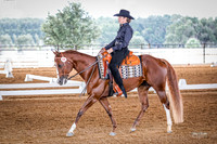 469 Terri
