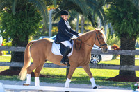 2015 Jan Lazy Meadow Dressage