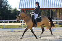 678 Heidi