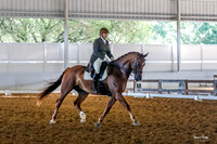 Dagge Dressage