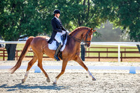 767 Susanne
