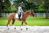 2016-1-13 Dagge Dressage Lessons