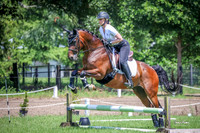 2021-6-13 Working Equitation