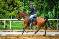 243 Audra