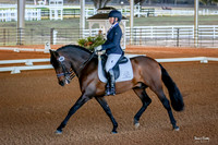 2017-1-15 Dressage Under the Oaks Sunday Complete