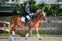 2015-4-26 Lazy Meadow Dressage