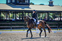 183 all photos posted