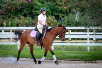 2015-12-20 Dagge Dressage Clinic