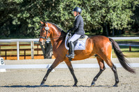 523 Heather