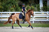 2016-2-20 Dagge Dressage Clinic