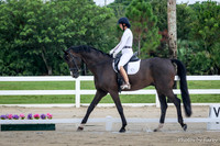 2015-7-18 Dressage Show