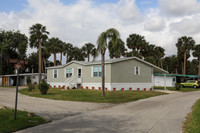 2017-3-23 Shady Lane Eustis