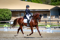 2016-3-13 Dagge Dressage