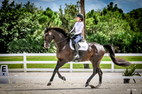 2016-9-10 Dagge Dressage at Heritage