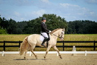 Friday Dressage Classes