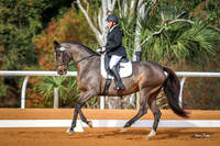 119 Anne