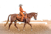 486 Joanne
