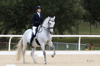 531 Christine