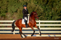 2017-1-14 Dressage Under the Oaks Sat AM