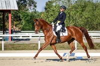 329 Joan