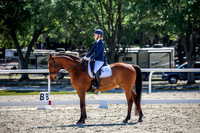 798 Jenny