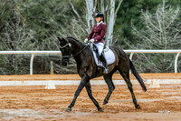 879 Jane