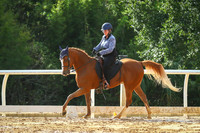 270 Heather